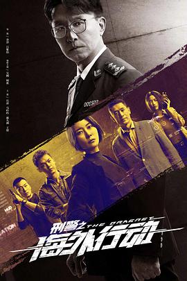 刑警之海外行动 第21集