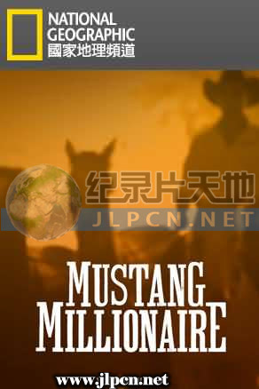 百万驯马大赛 第02集