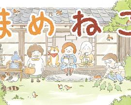 豆豆猫 第01集