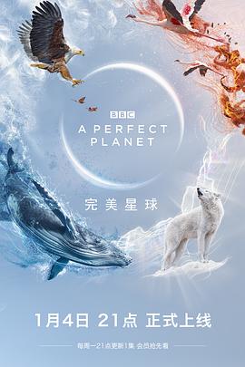 完美星球 第01集