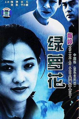 绿萝花 第13集