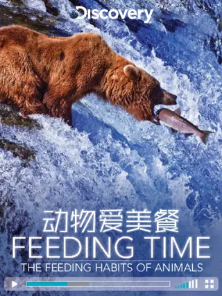 动物爱美餐 第01集