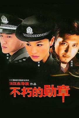 不朽的勋章 第17集