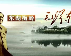 东湖梅岭毛泽东 第03集(大结局)