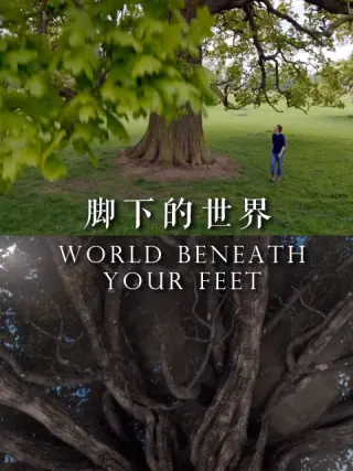 脚下的世界 第01集