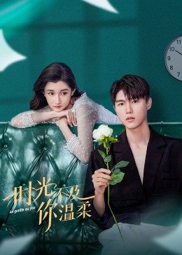 时光不及你温柔 第13集