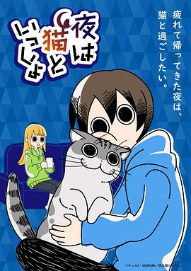 关于养猫我一直是新手 第17集