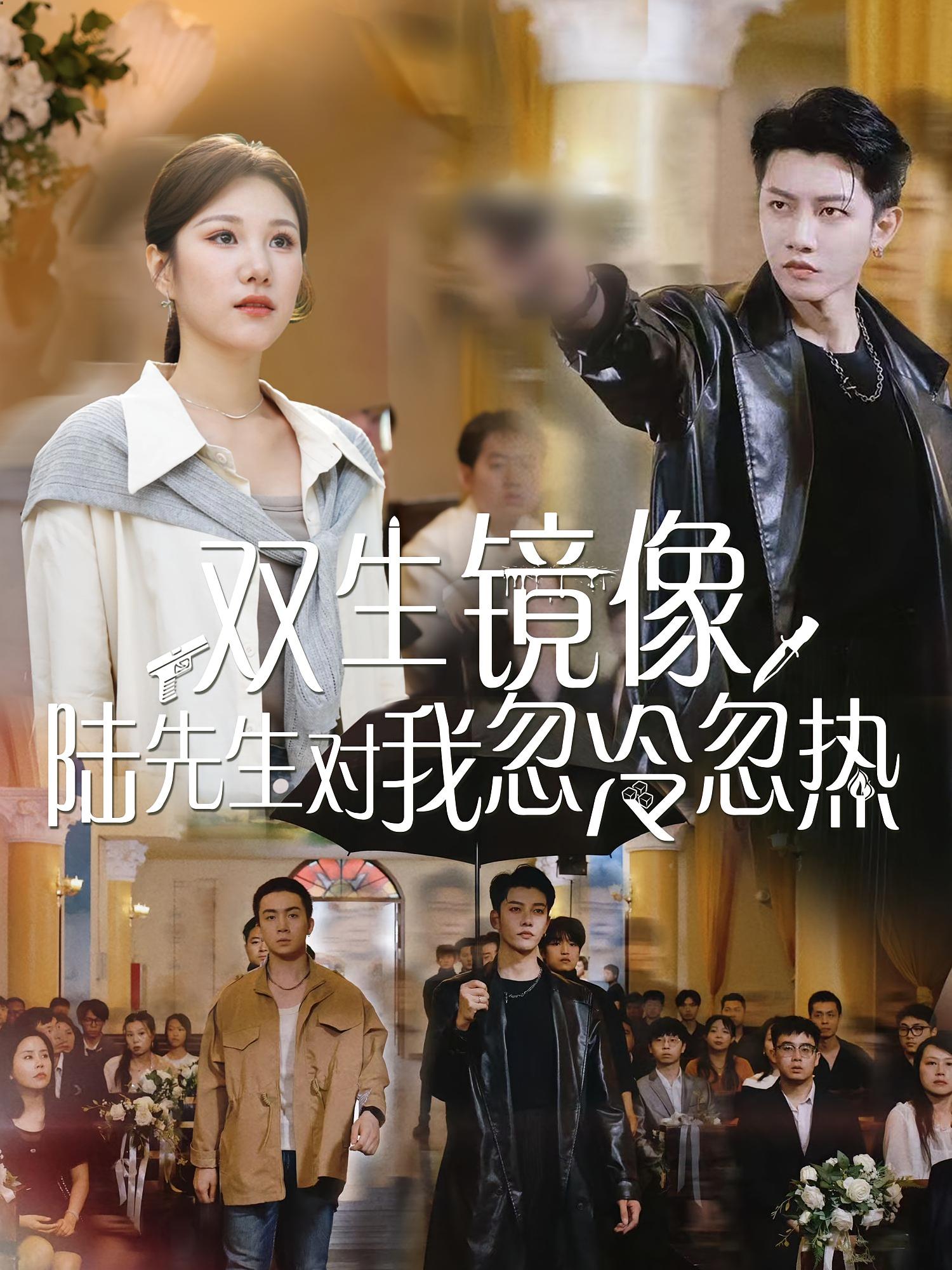 双生镜像陆先生对我忽冷忽热 第30集