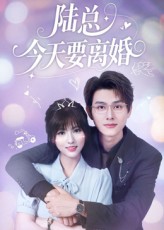 陆总今天要离婚 第01集
