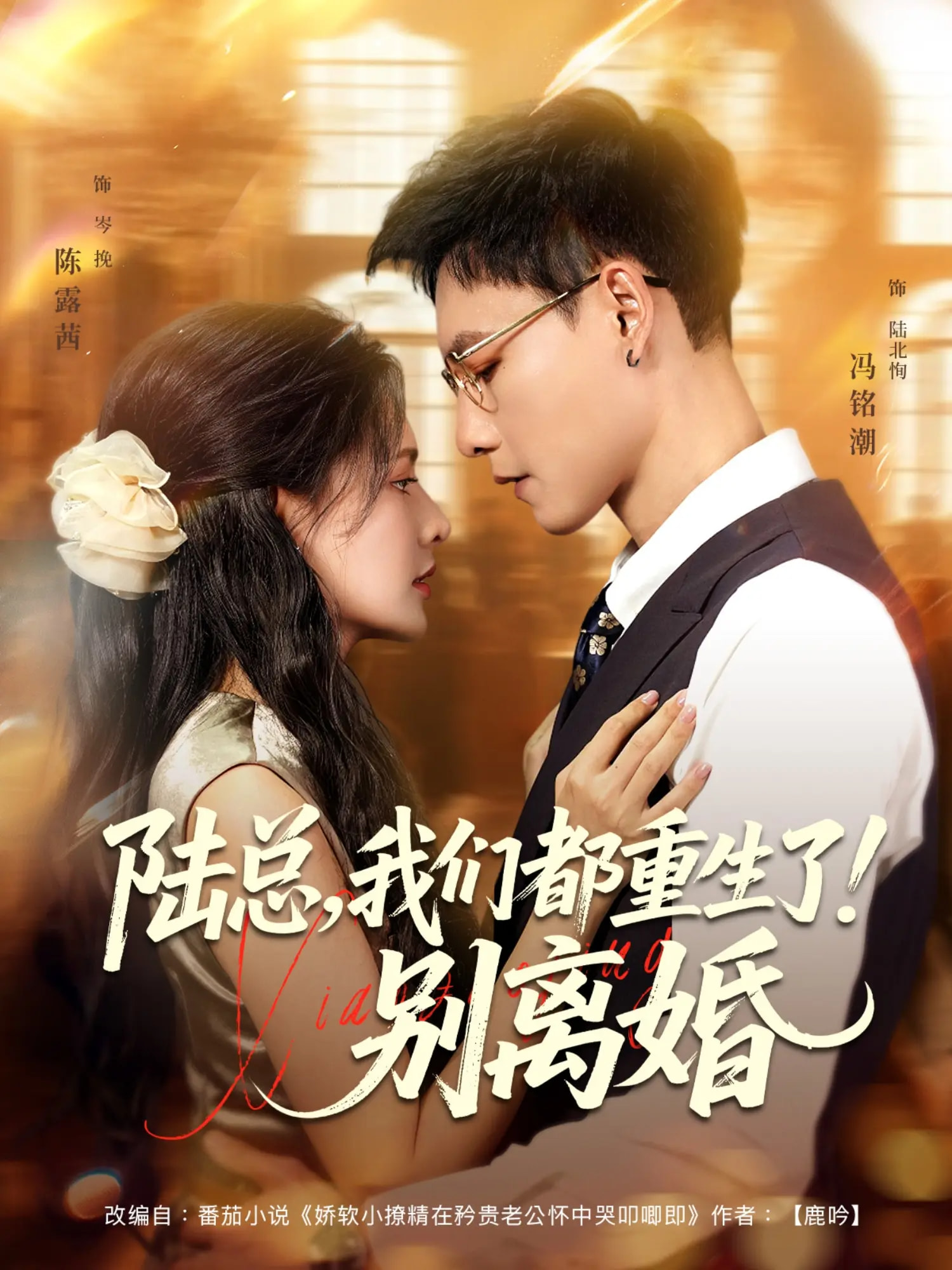 陆总我们都重生了别离婚 第01集