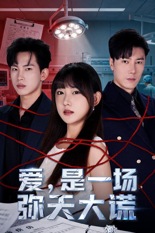 爱是一场弥天大谎 第17集