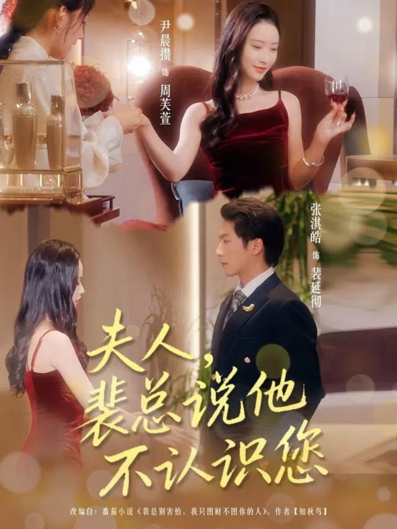 夫人裴总说他不认识您 第01集