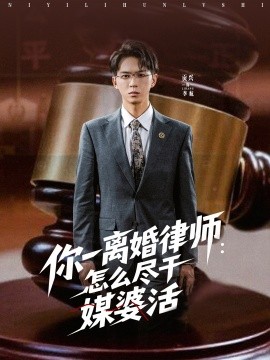 你一离婚律师：怎么尽干媒婆活 第01集