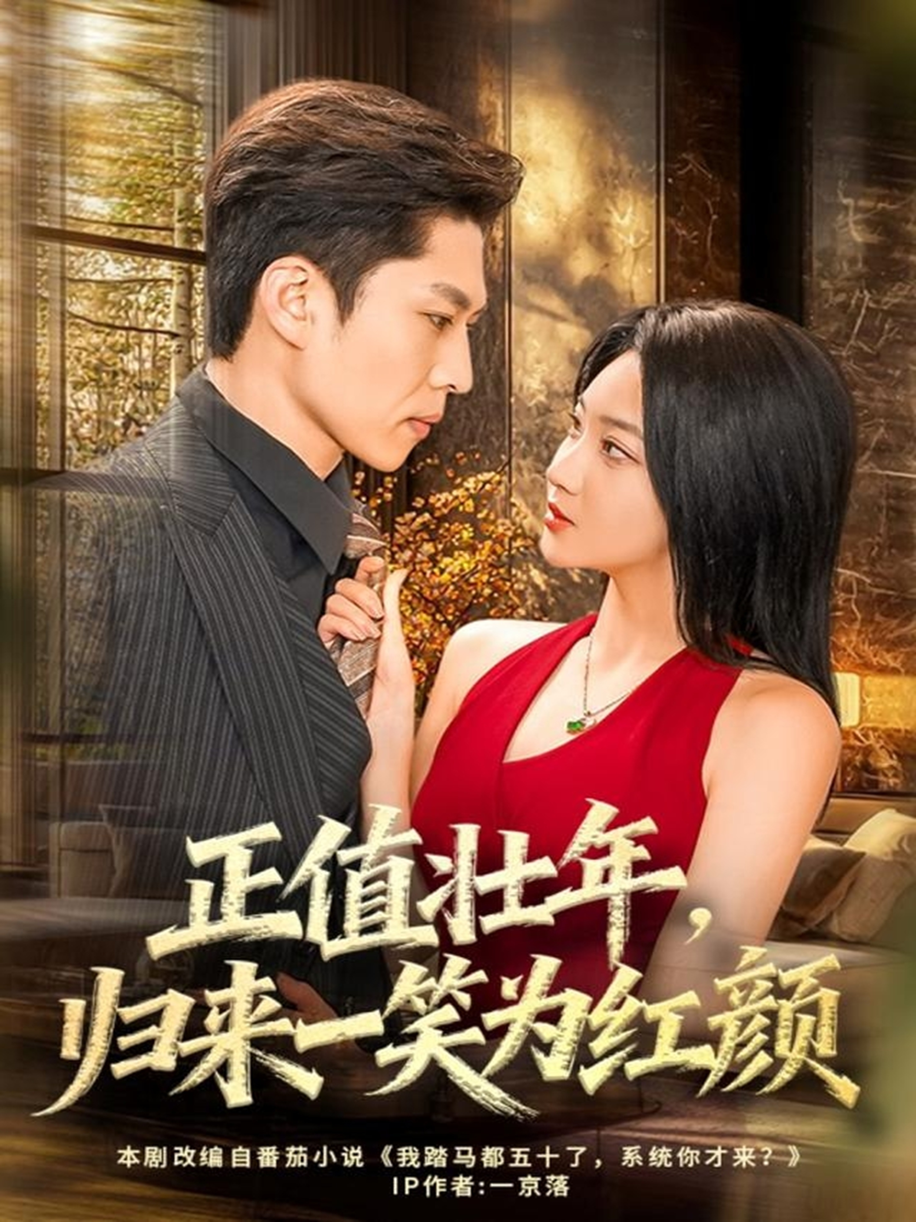 正值壮年，归来一笑为红颜 第01集