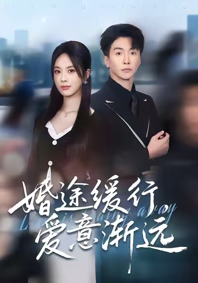婚途缓行，爱意渐远 第22集