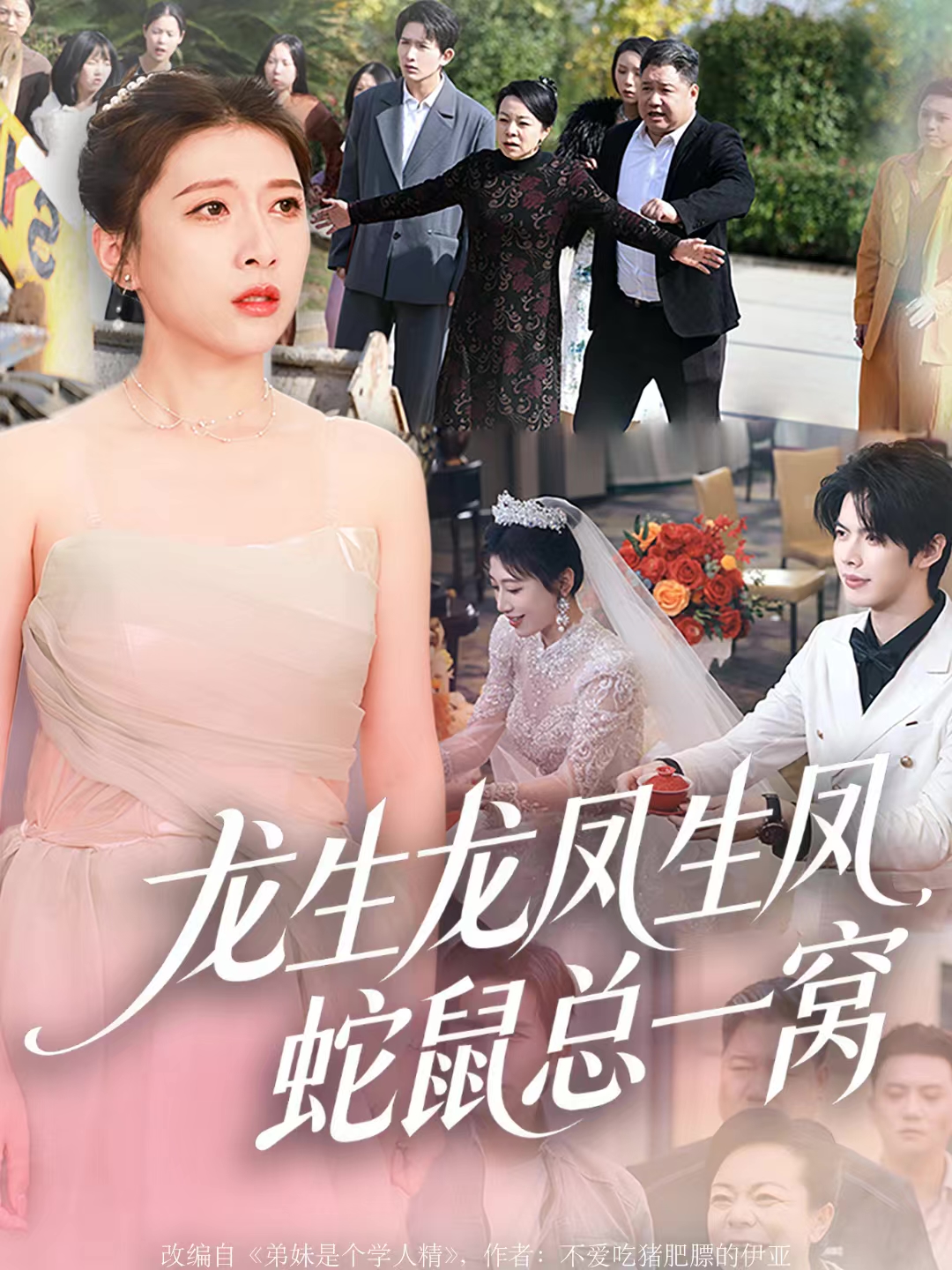 龙生龙凤生凤，蛇鼠总一窝 第59集