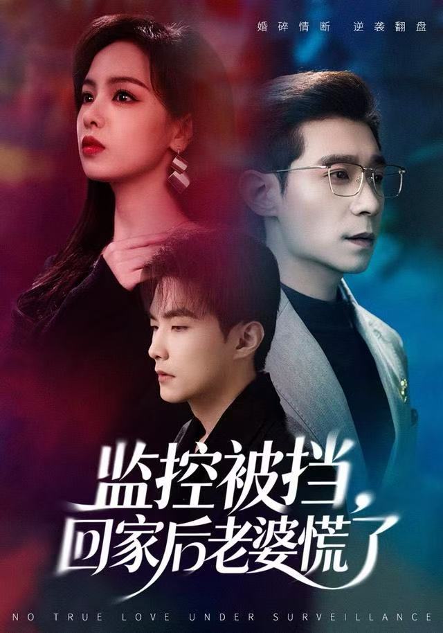 监控被挡，回家后老婆慌了 第51集