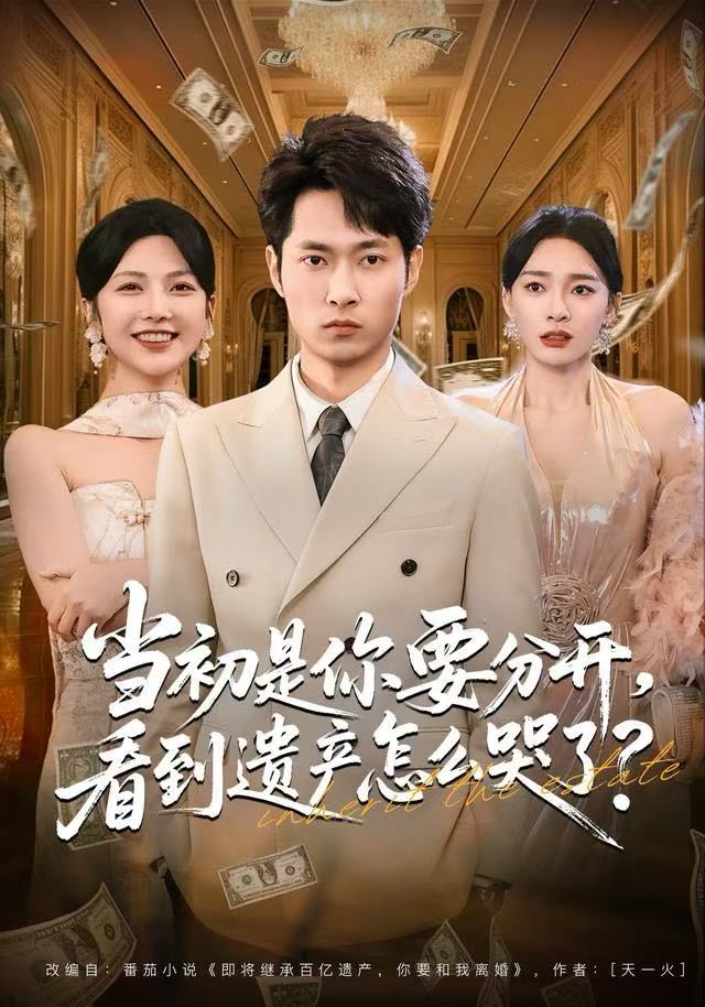 当初是你要分开，看到遗产怎么哭了？ 第01集