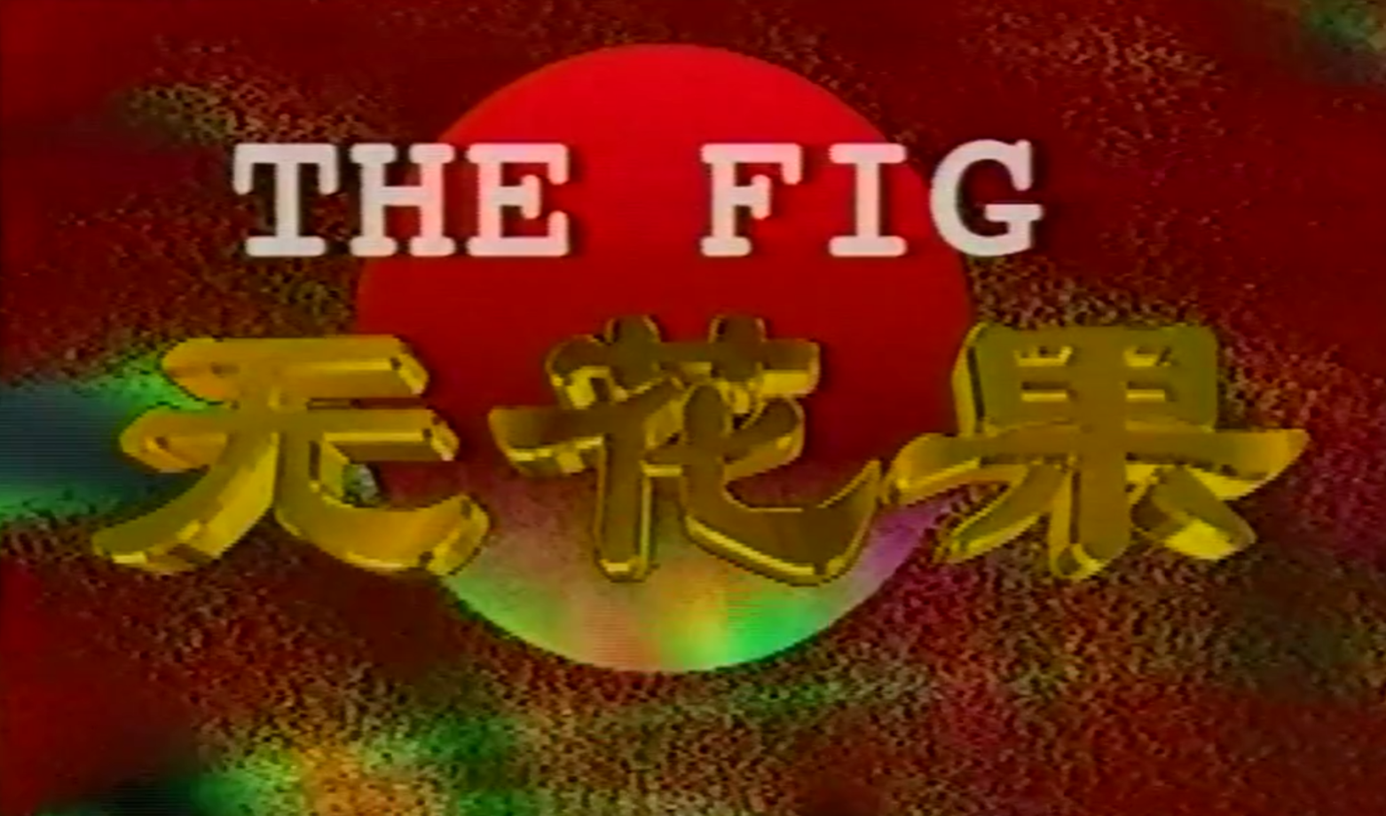 无花果1996 第01集