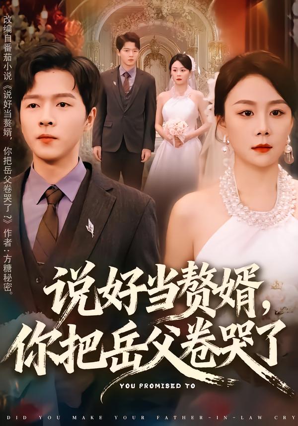 说好当赘婿，你把岳父卷哭了 第14集