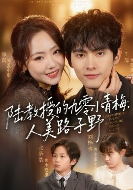 陆教授的九零小青梅，人美路子野 第01集
