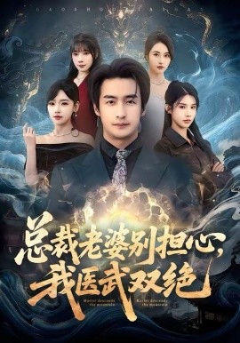 总裁老婆别担心，我医武双绝 第01集