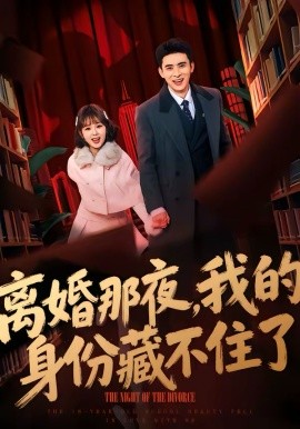 离婚那夜，我的身份藏不住了 第04集