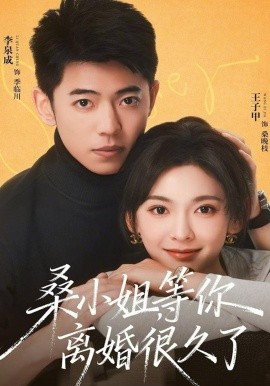 桑小姐，等你离婚很久了 第03集