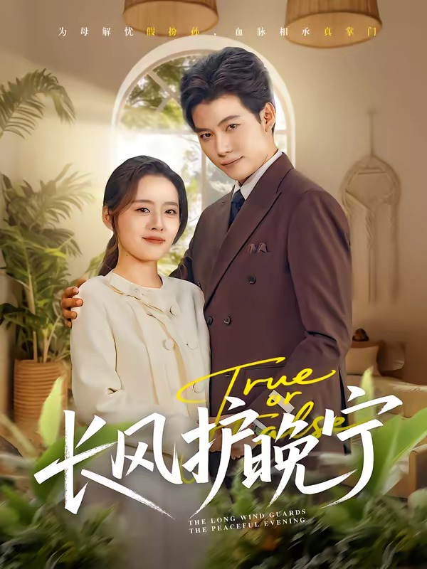 长风护晚宁 HD(大结局)