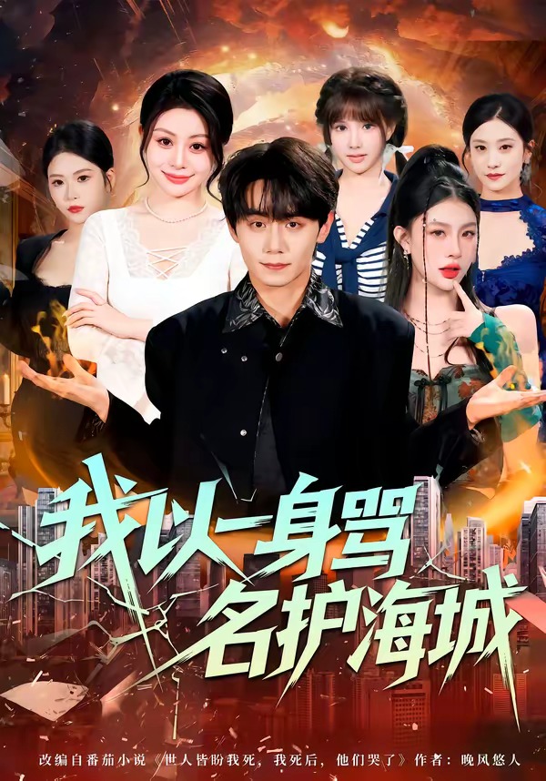 我以一身骂名护海城 HD(大结局)