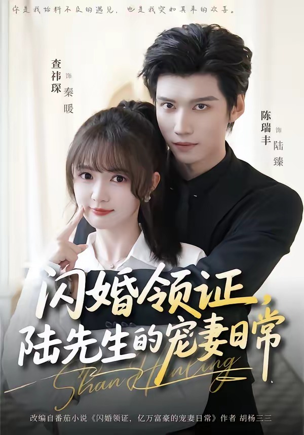 闪婚领证，陆先生的宠妻日常(全集)
