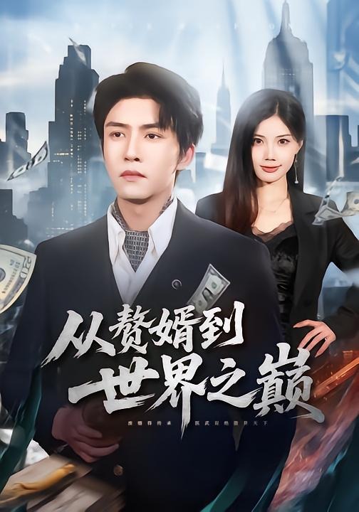 从赘婿到世界之巅 第01集(大结局)